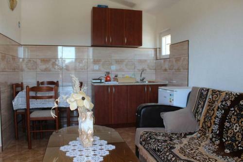 Apartmani Joca