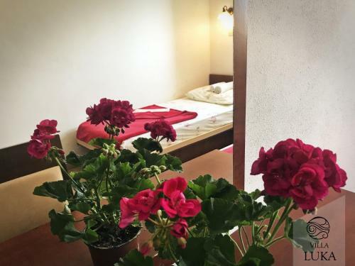 Apartments Villa Luka