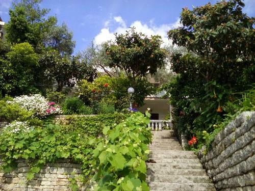 Hostal Oaza Guest House
