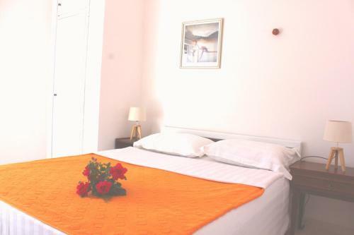 Apartamentos Monten