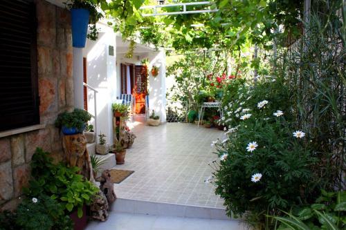 Apartamentos Monten