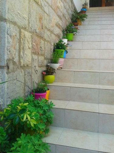 Apartamentos Monten
