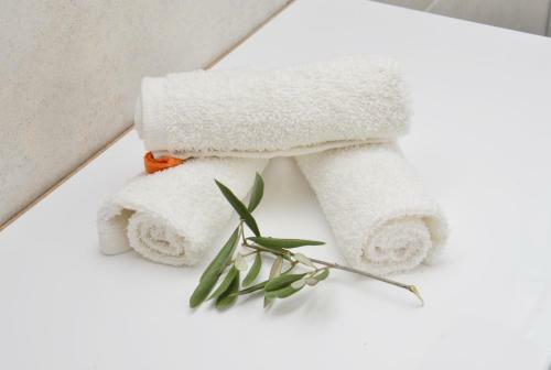 Apartman Bradasevic Tivat