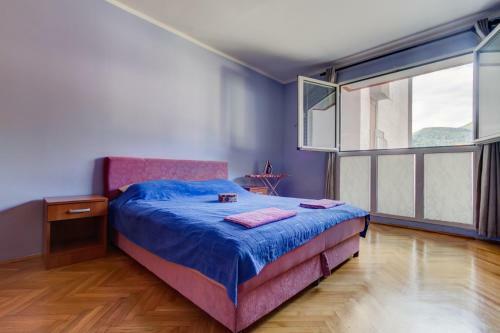 Djurovic Center Apartment