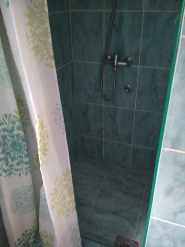 Apartments Vila Milena