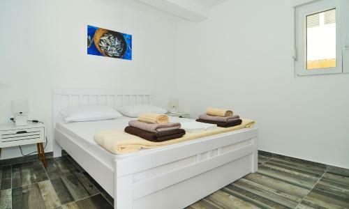Apartments Edera
