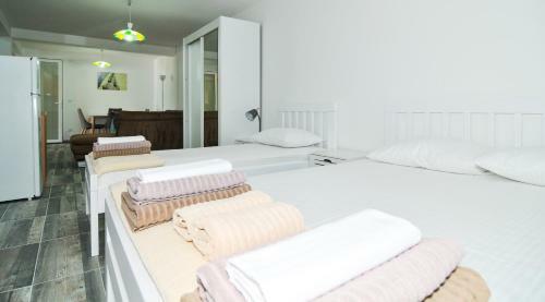Apartments Edera