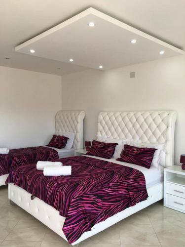 Apartamento Queen Kodre Guest House