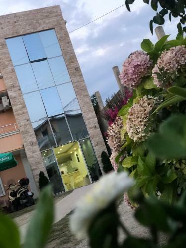 Apartamento Queen Kodre Guest House