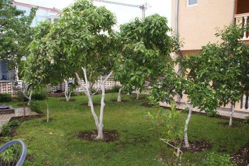 Apartments Dalila