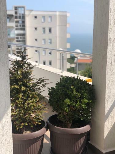 Apartmani Dini