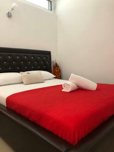 Apartmani Dini