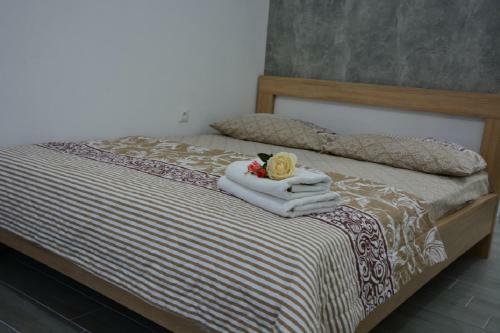Hostel Center
