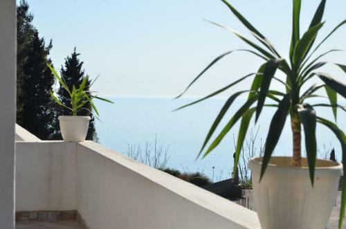 Hostal Guest House Casa Pineta