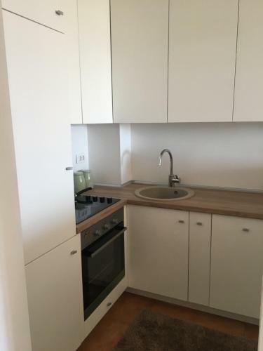 Apartments Svorcan Lux