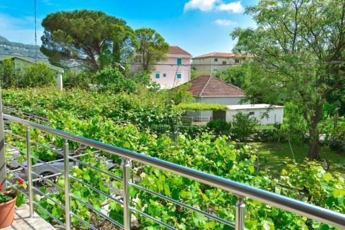 Apartmani Mihovic - Jaz