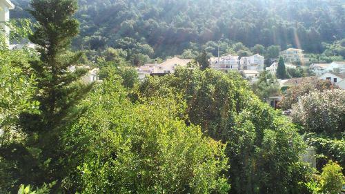 Hostal Guesthouse Mixe