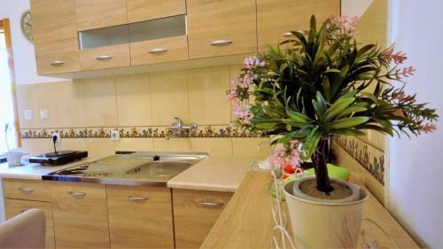 Apartamentos Studio Tanja