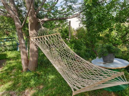 Apartamento Montenegrin Beauty Star