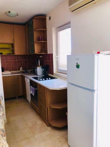 Apartment Igor