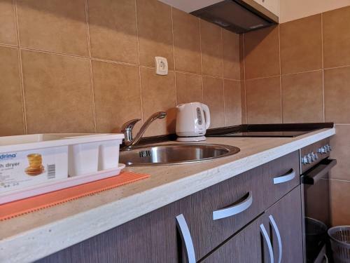 Apartamento Pejovic Residence Budva