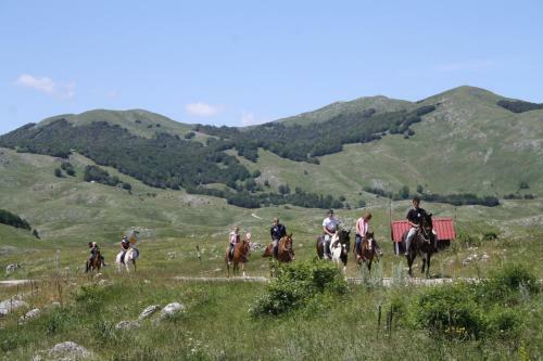 Bed & Breakfast Guest House Etno Village Milogora