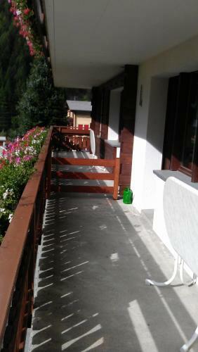 Apartment Albatros