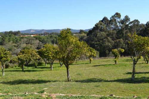 Hostal Herdade Do Freixial - Turismo Rural