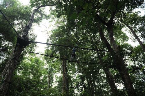 Hotel Permai Rainforest Resort