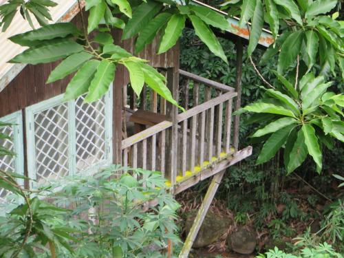 Hostal Nanga Damai Homestay