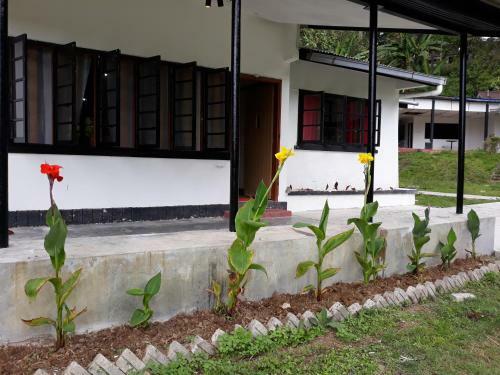 Albergue Garden Guest House