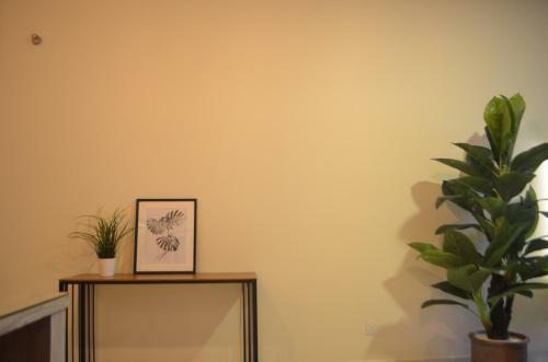 Bed & Breakfast Casa R.v Homestay
