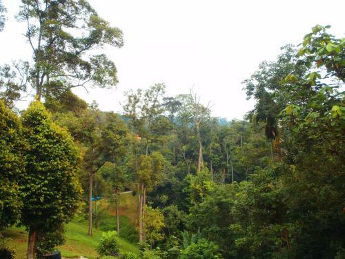 Alamar Hills And Hot Spring