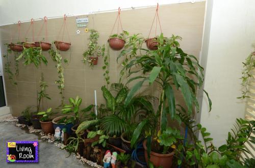 Felice Homestay 02