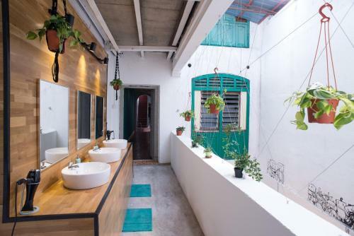 Olive Spring Hostel