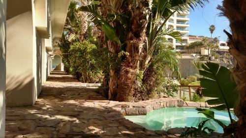Hotel Las Olas Resort & Spa