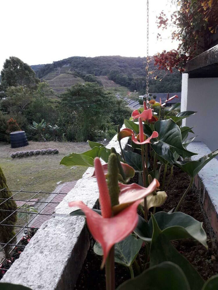 Hotel Dear Dino Villa Cameron Highlands