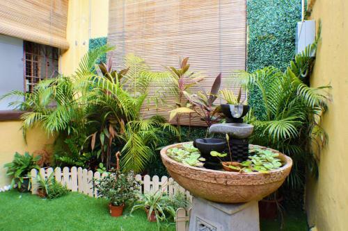Hotel Zen Rooms Carnarvon Street