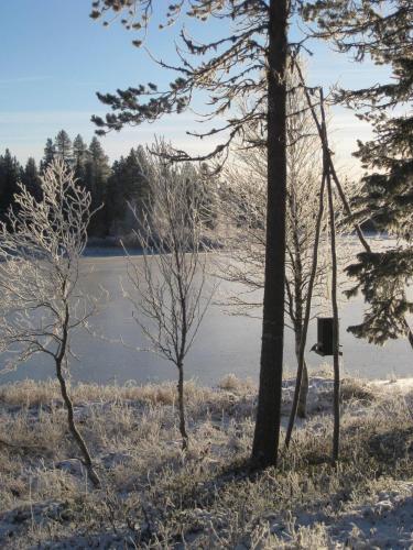 Lodge Ruka Safaris - Alinan Tupa