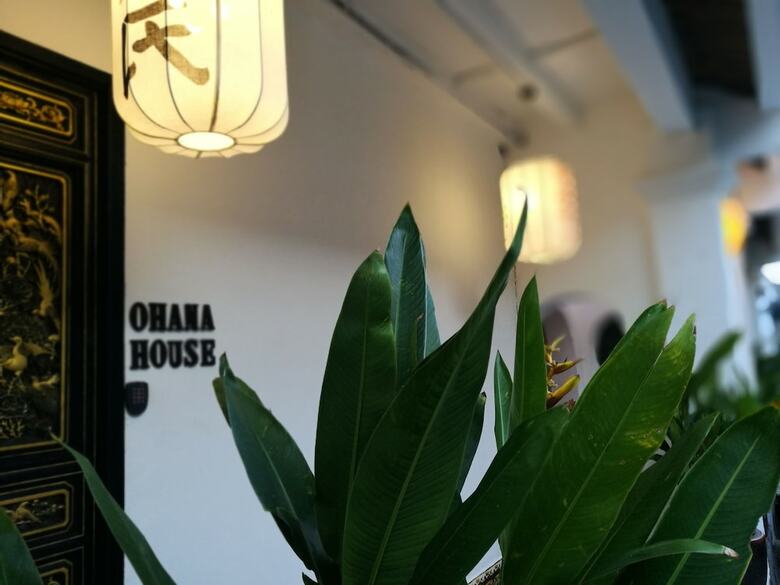 Hostal Ohana House Hq