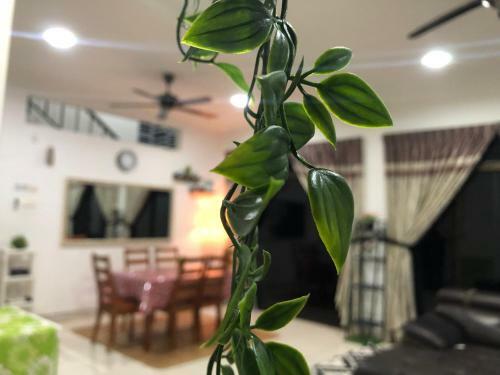 Homestay Teratak Dahlia