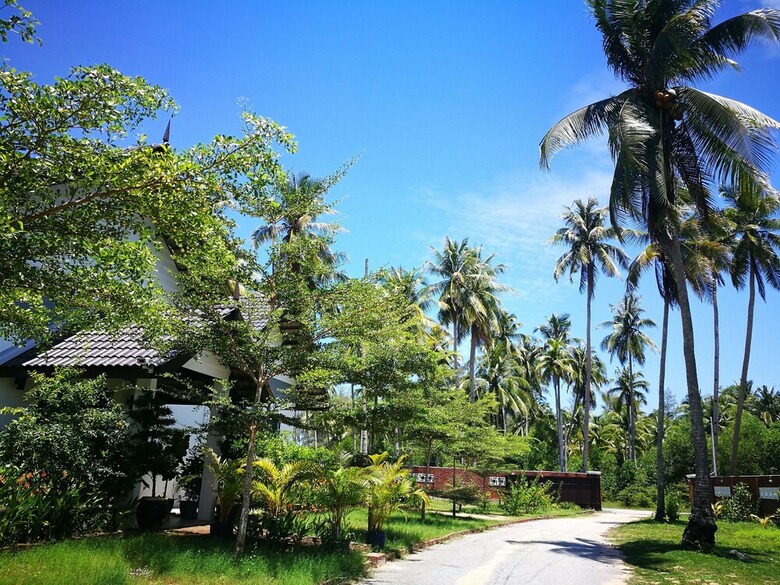 Bed & Breakfast Alaya Malai