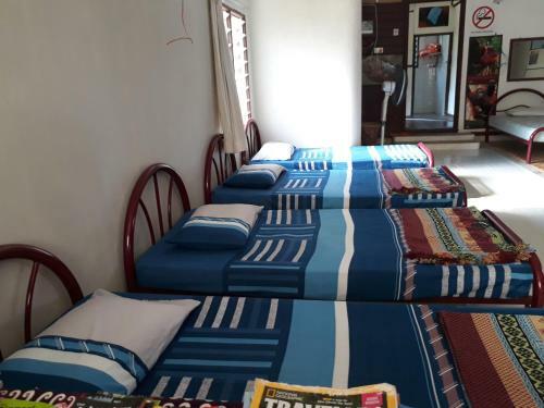 Mulu Backpackers Homestay