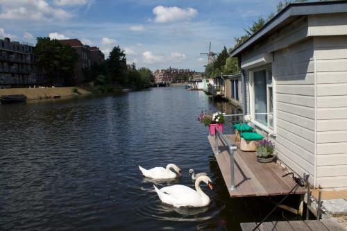 Bed & Breakfast Rob's Houseboat