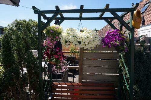 Amsterdam Roof Terrace B&B