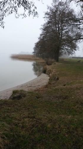 Wurzelsepp