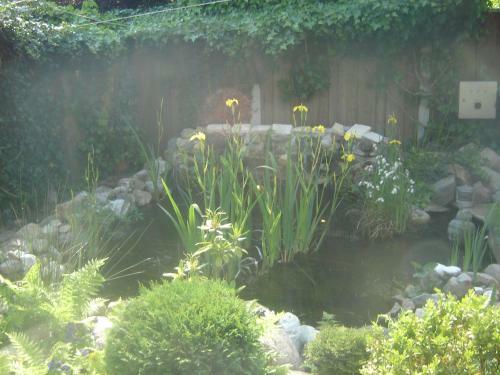 Bed & Breakfast B & B Kostelijk