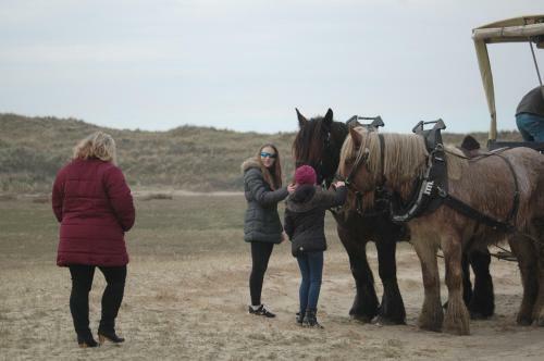 Apartamento Aangenaam Texel 1