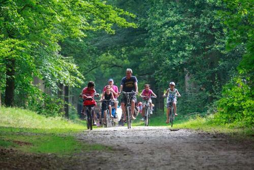 Vakantiepark De Kuilart
