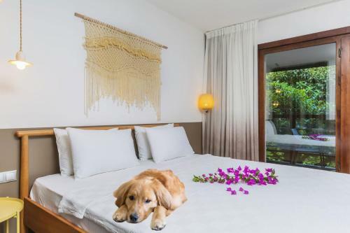 Villa Kilic Hotel